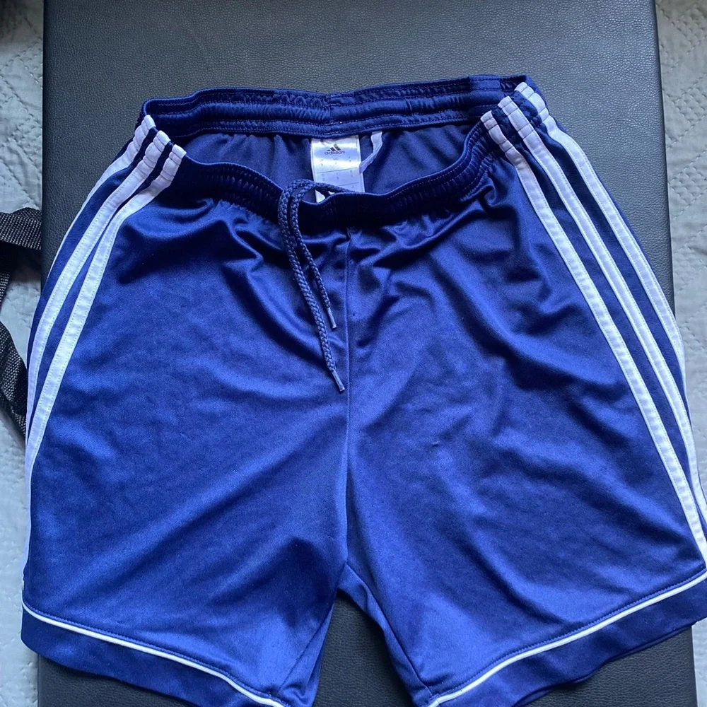 Shorts - Picture 1 of 1